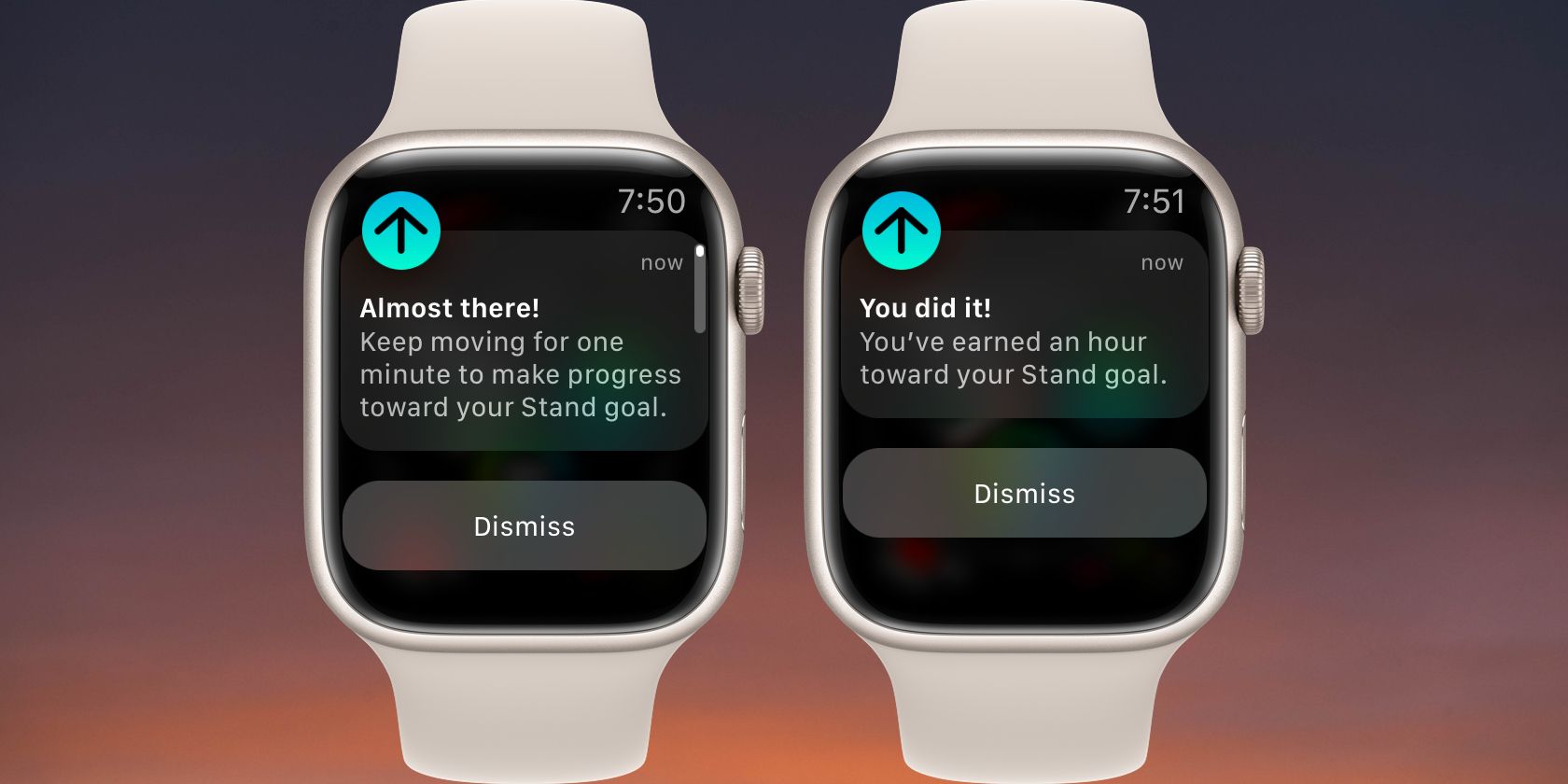 how-to-turn-off-time-to-stand-notifications-on-an-apple-watch