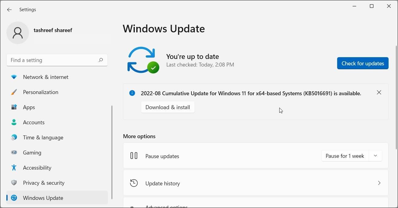 Windows 11 Settings showing the Windows Update tab.