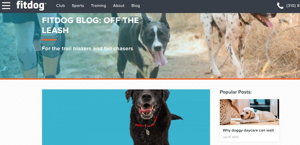 fitdog website screenshot