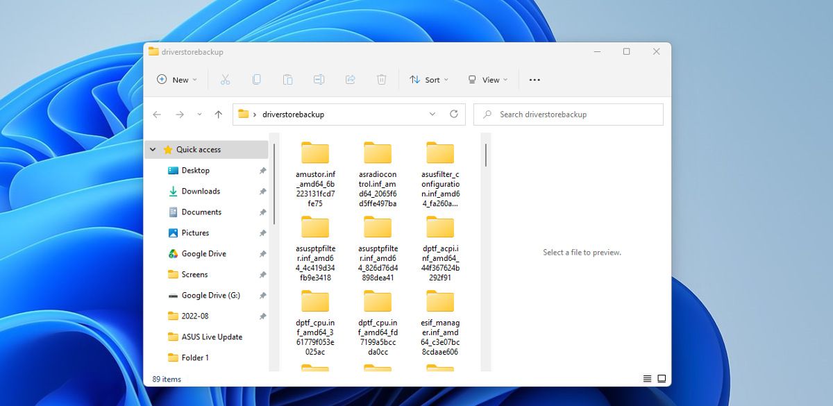 A folder open on the Windows 11 desktop