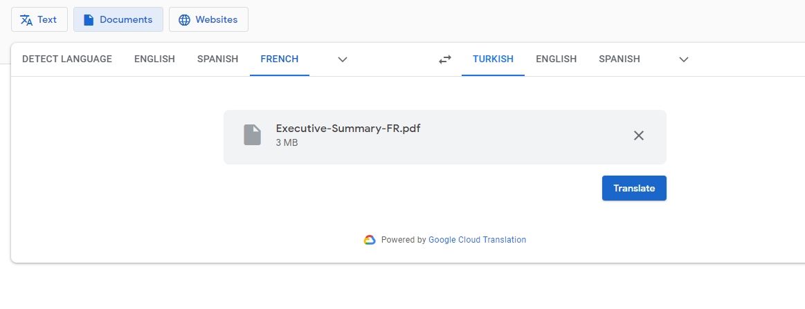 google translate documents file