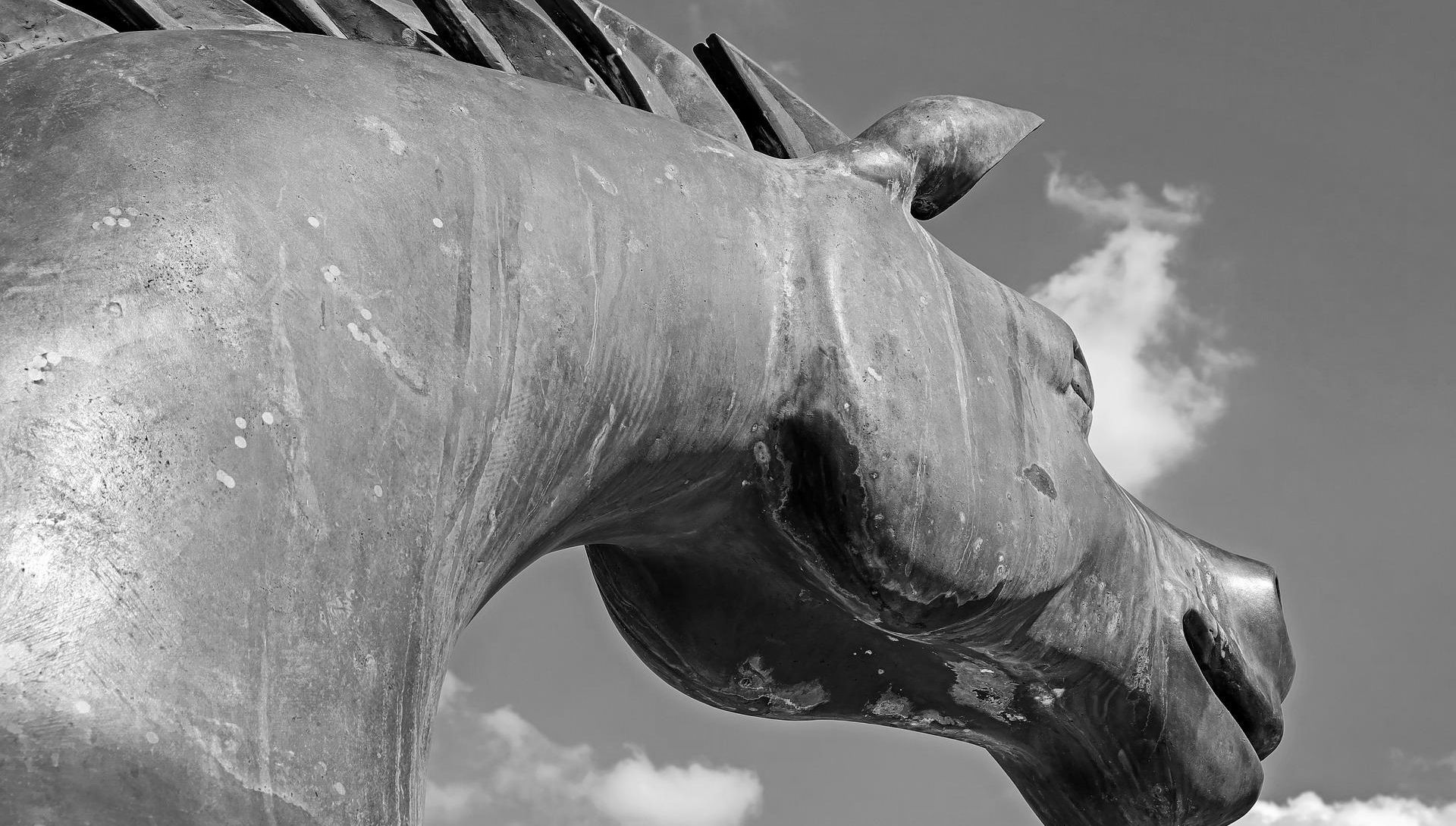 close up shot of horse statue