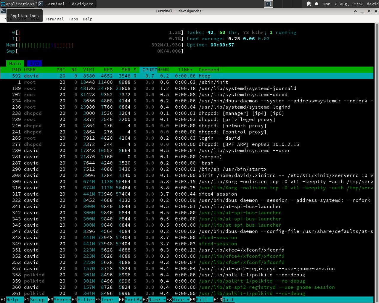 htop showing virtual memory in use