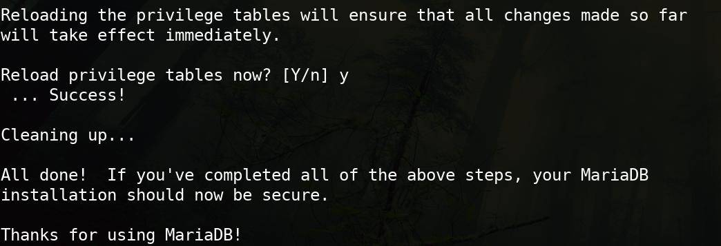 mariadb success message reading,