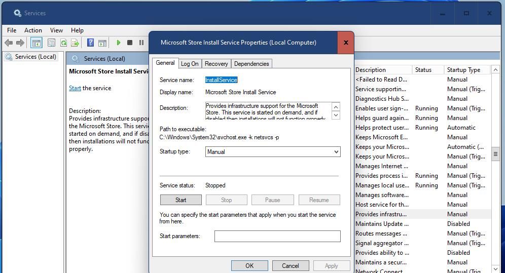 The Microsoft Install Service window