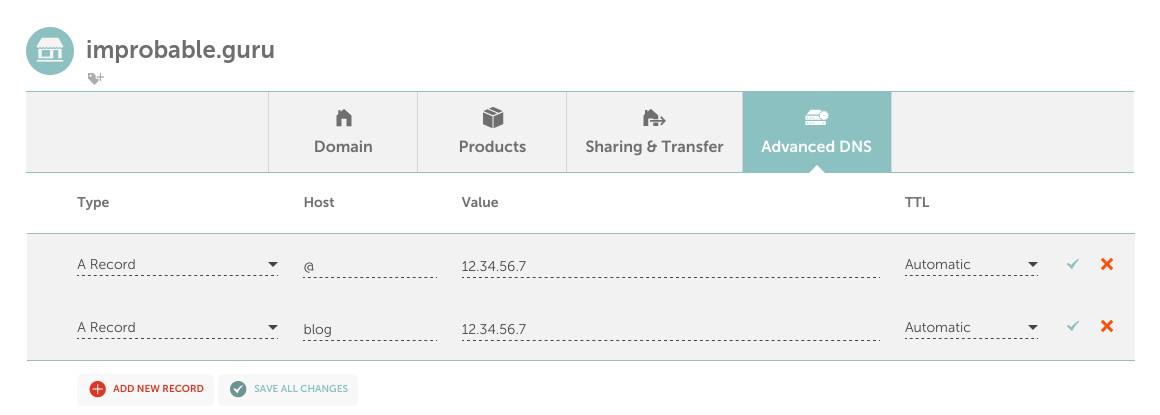 namecheap dns showing two A records