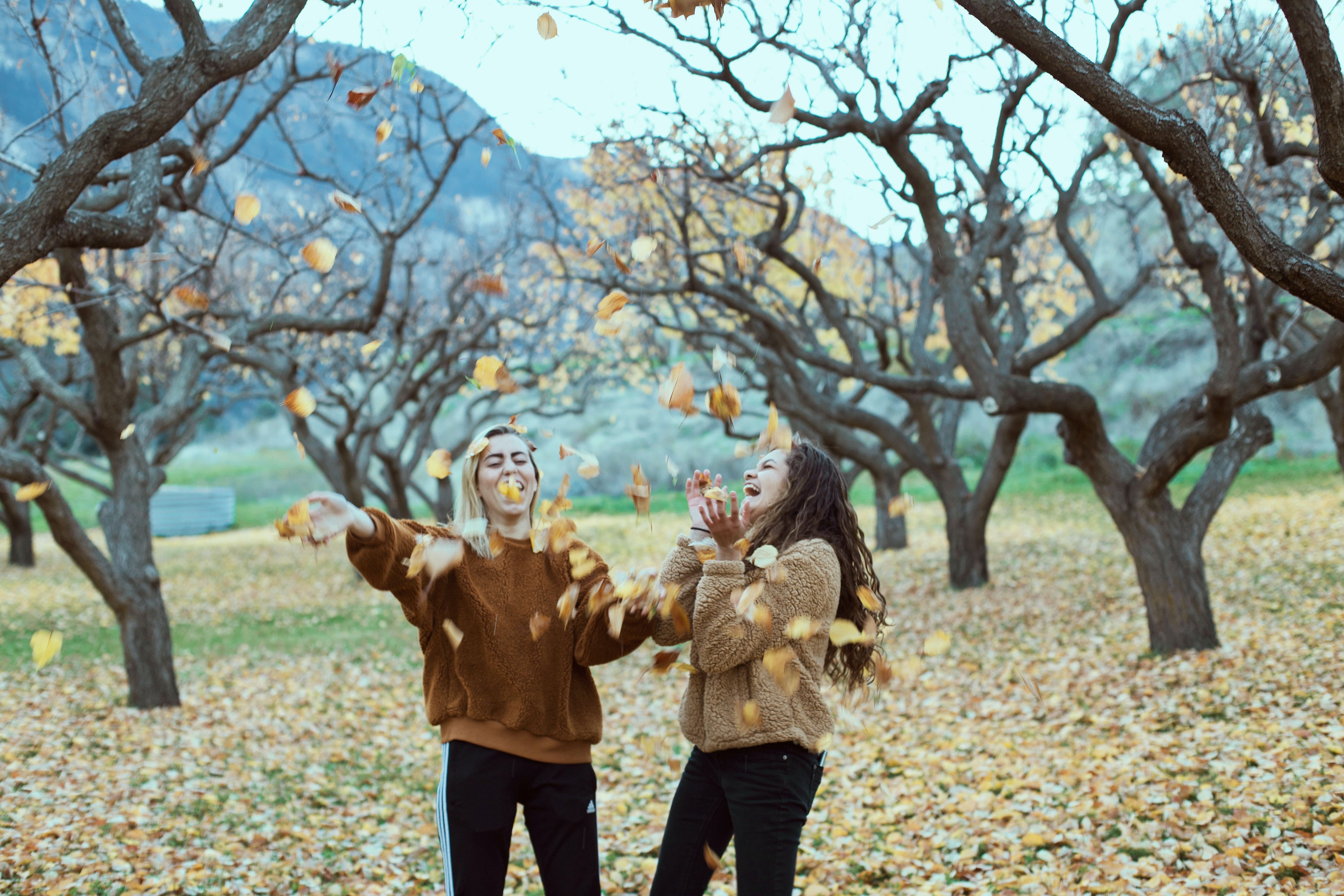 photo of people playing around with fall leaves