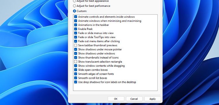 The Performance Options pane in Windows 11