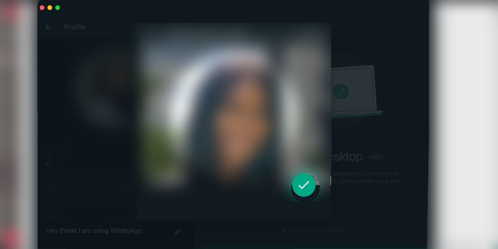 screenshot of new profile photo upload on whatsapp desktop