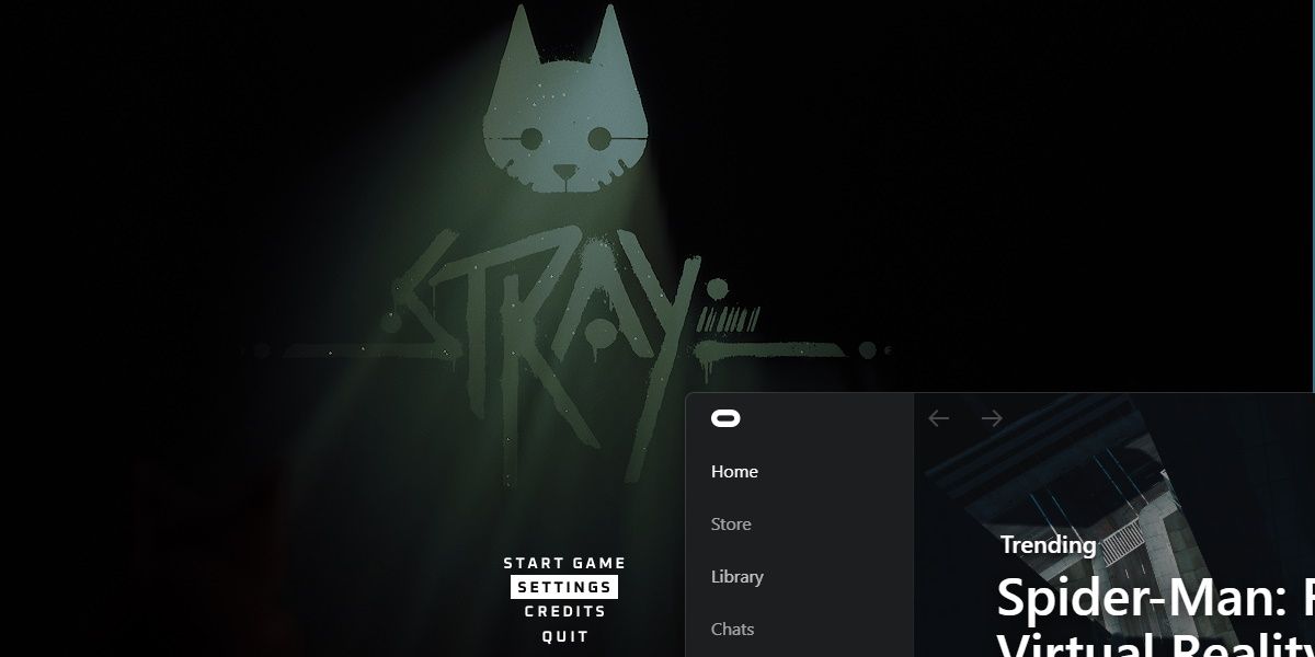 screenshot of stray and oculus open at the same time