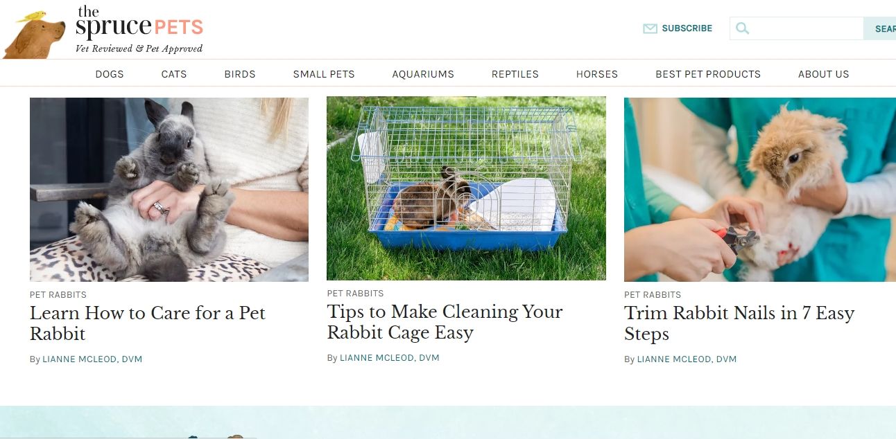 the spruce pets website screenshot