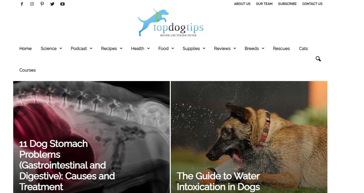 top dog tips website screenshot