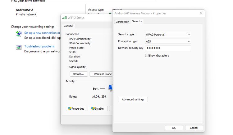 Wireless network settings pane showing the password