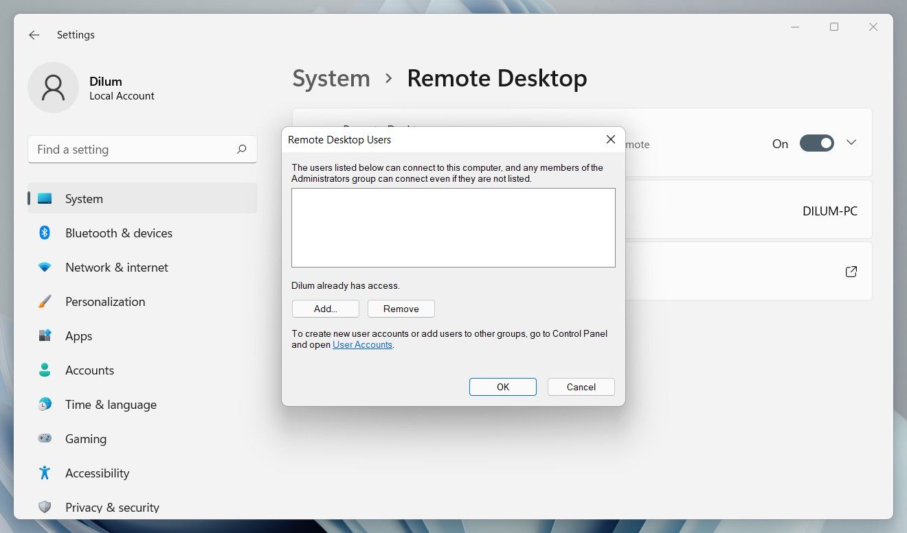 Adding Remote Dekstop users in Windows.