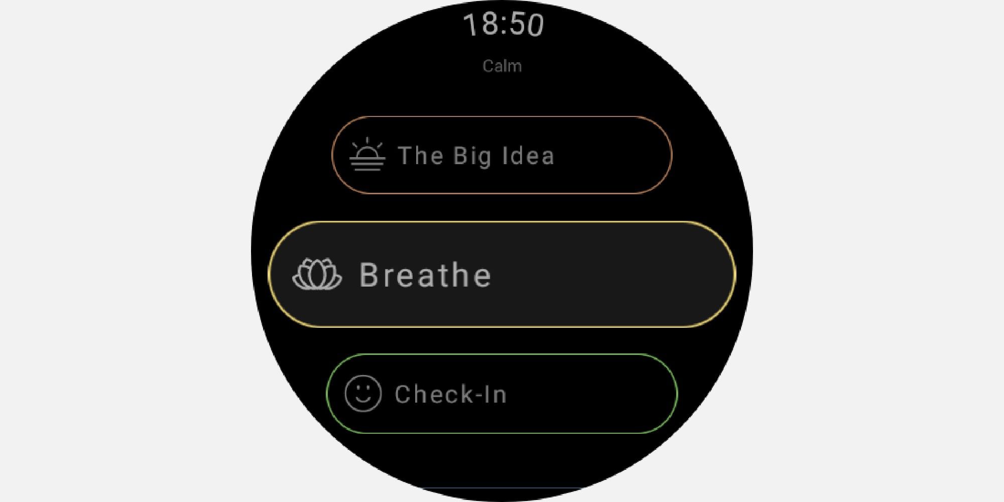 Calm interface on smartwatch