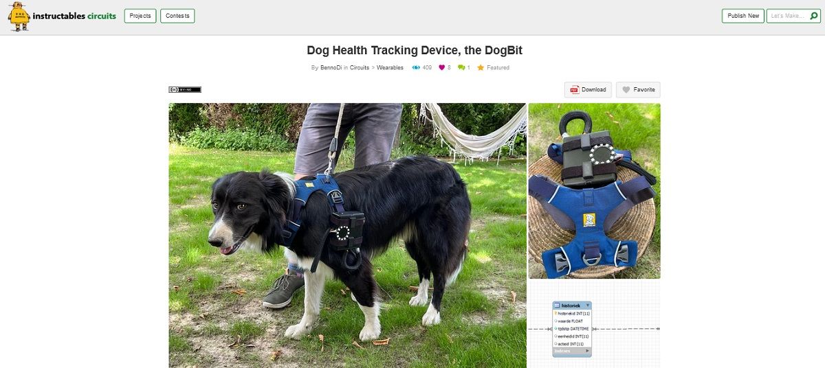 Screengrab of dog health tracking device the DogBit project page