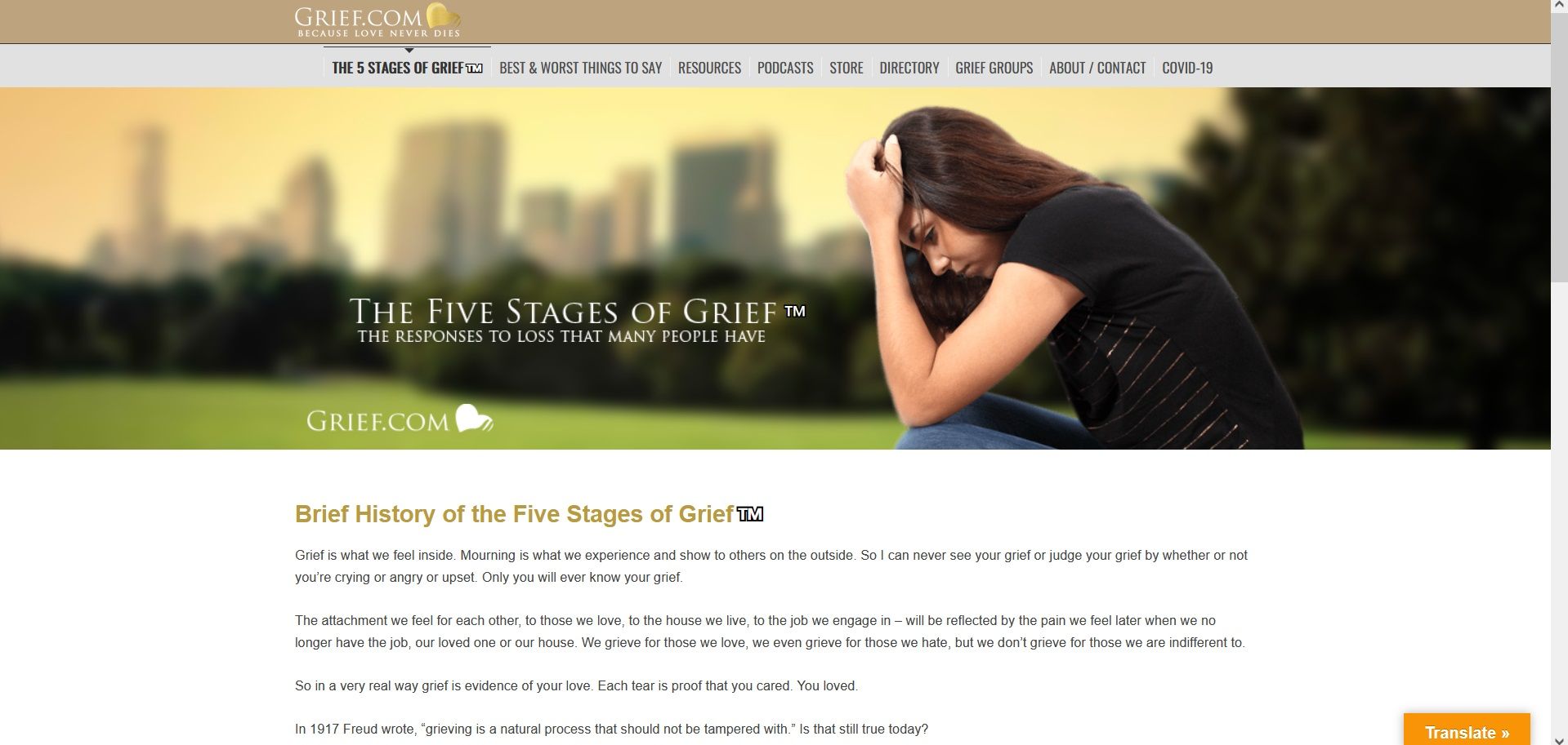 صفحه Grief.com با جزئیات مراحل غم و اندوه