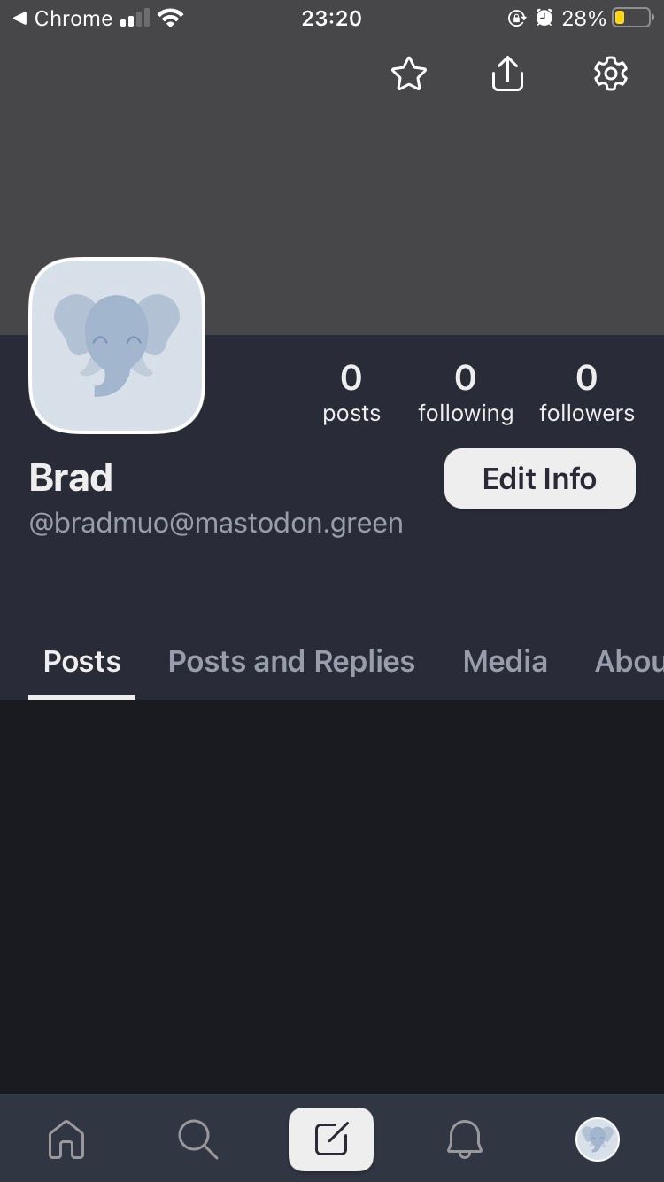 The Profile section on the iOS Mastodon app
