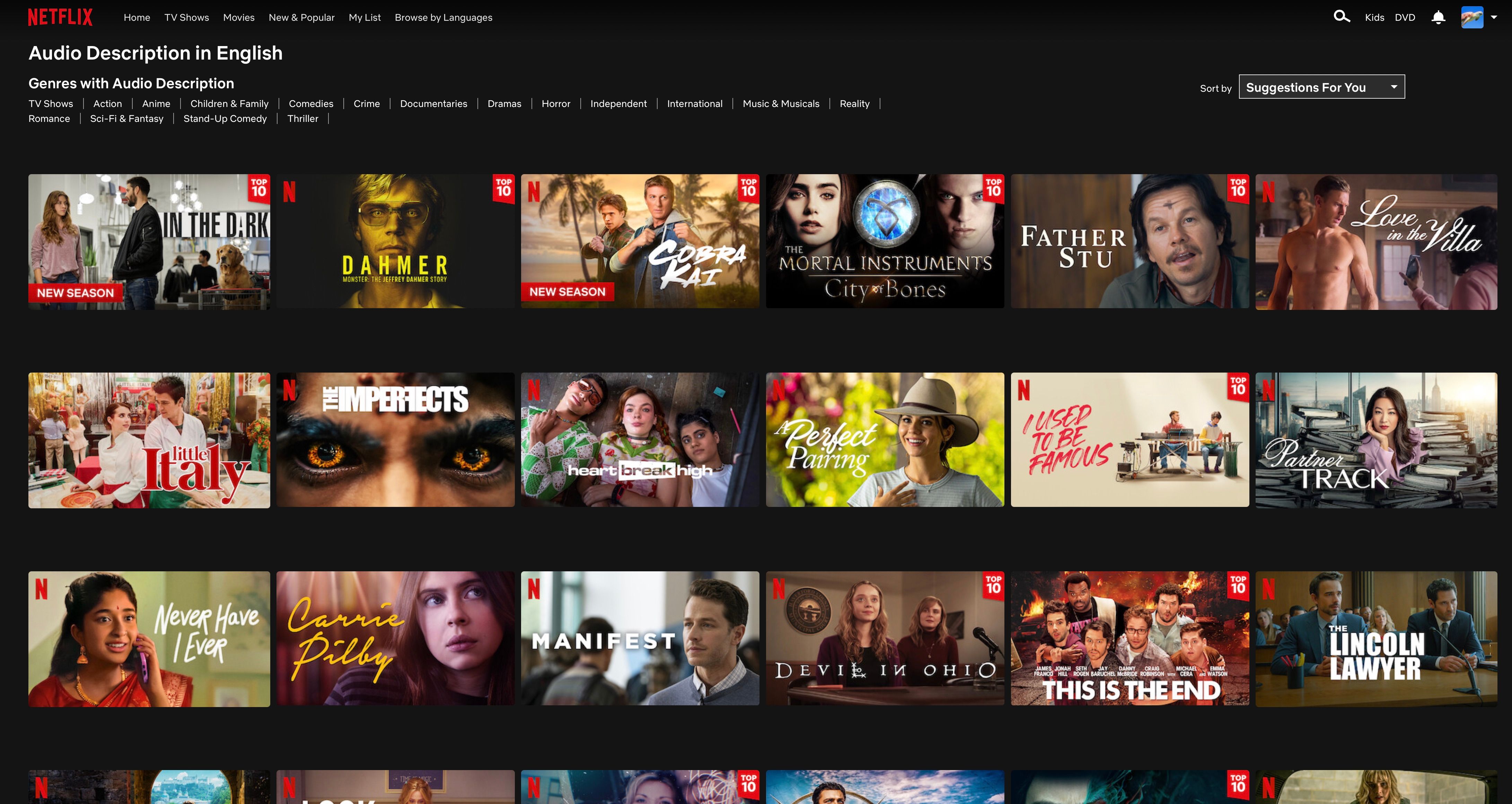 Netflix Audio Description Content Page with genres and titles listed