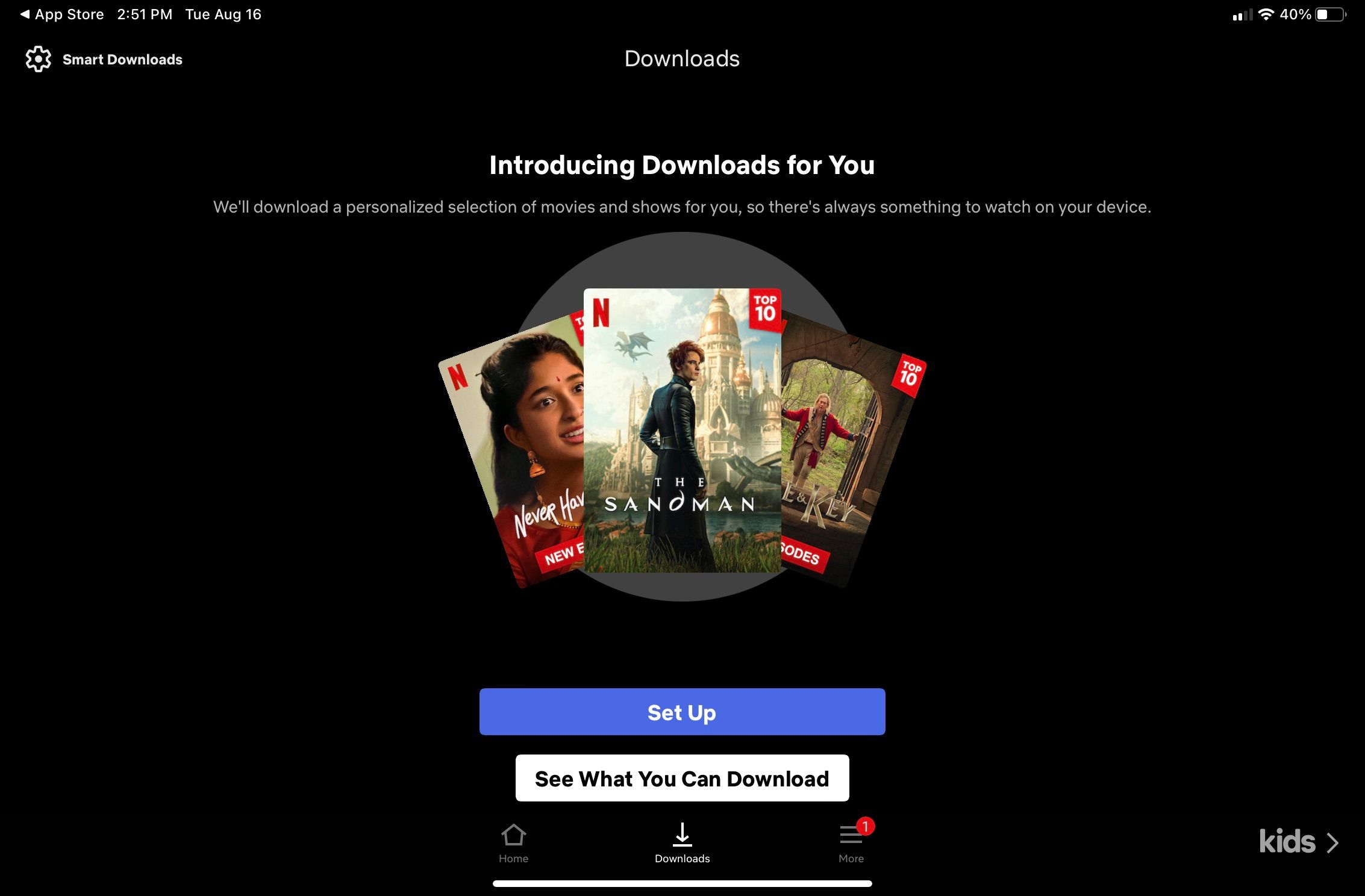 Netflix Downloads For You Page with Set Up button