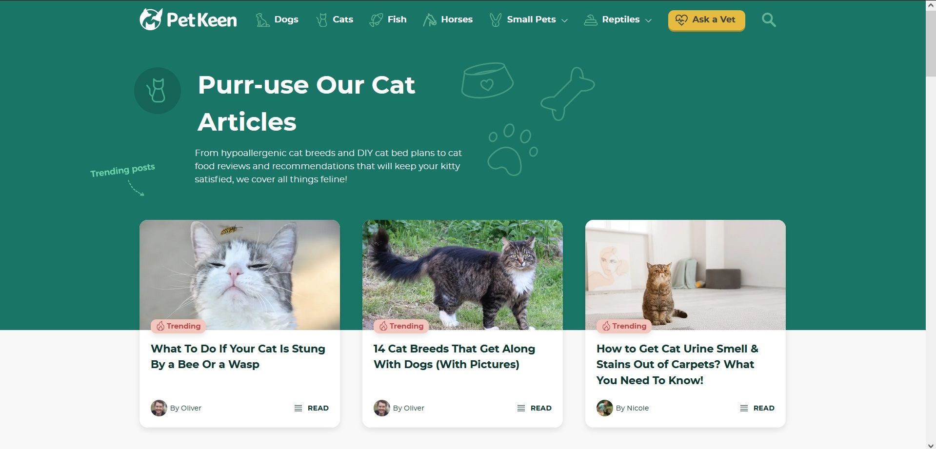 Cat websites for cheap cat lovers