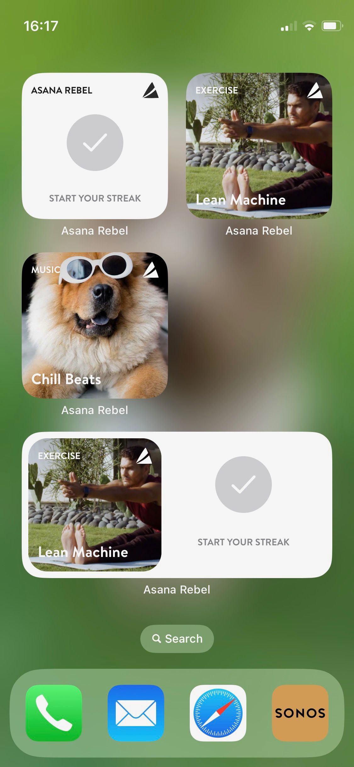 Screenshot of Asana Rebel widgets