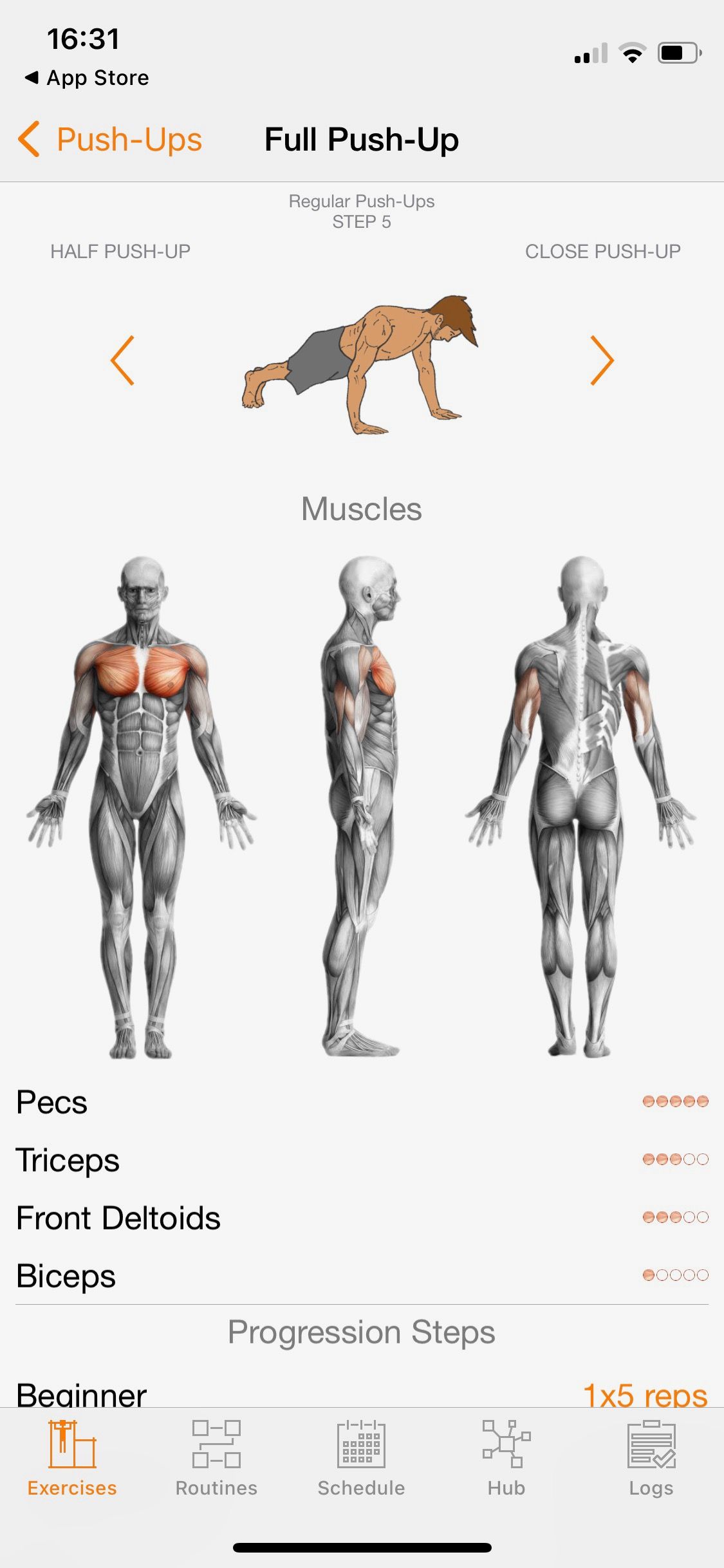 Screenshot of Calisthenics Mastery showing muscles worked