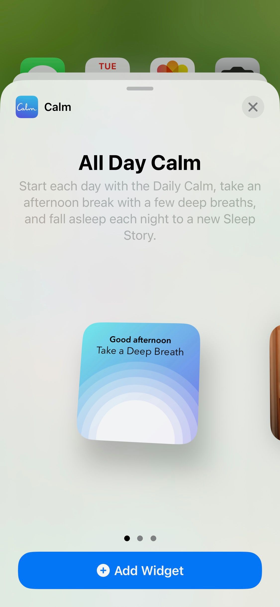 Screenshot of Calm app widget selection
