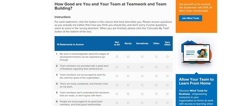 Screenshot of MindTools Team Assessment page