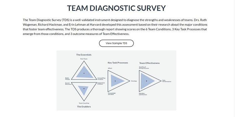 Screenshot of Team Diagnostic Survey page