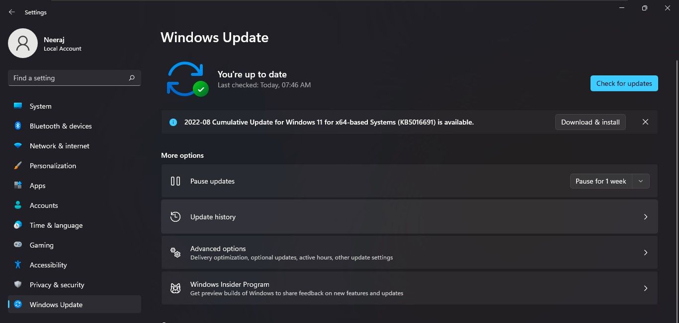 Select Update History in Windows Update