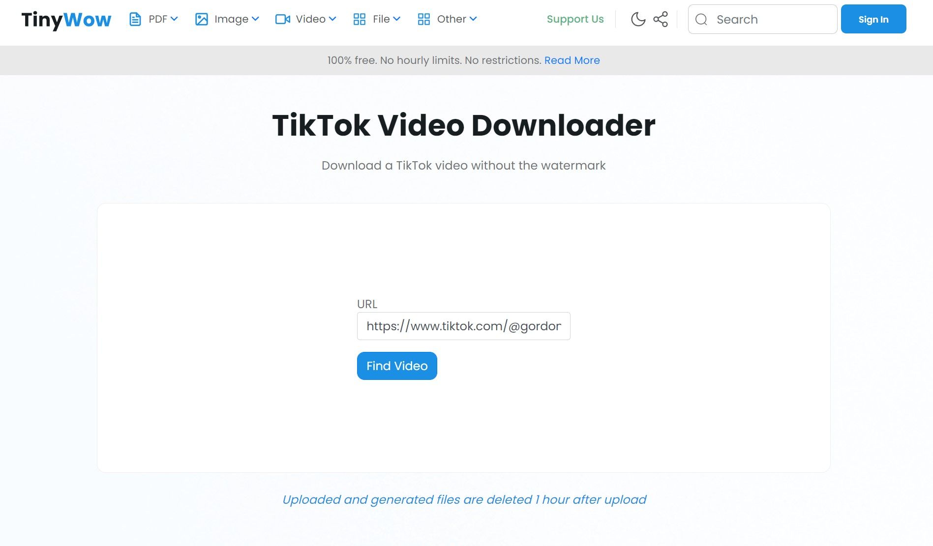 TinyWow TikTok Video Downloader