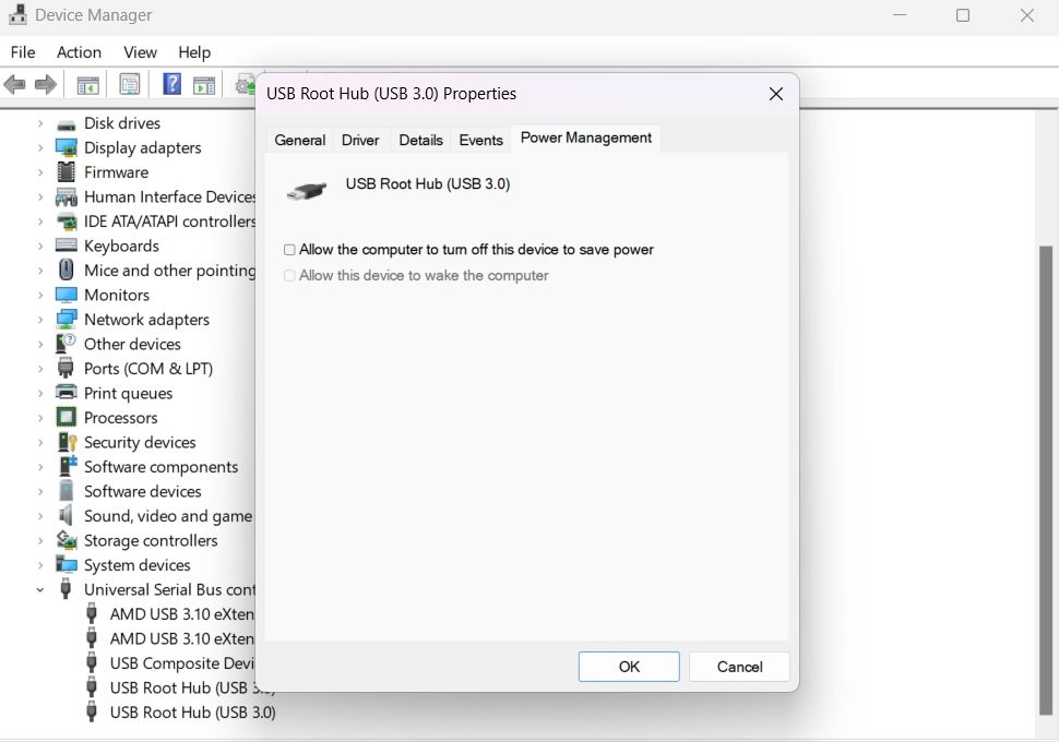 USB Root Properties in the Device Manager
