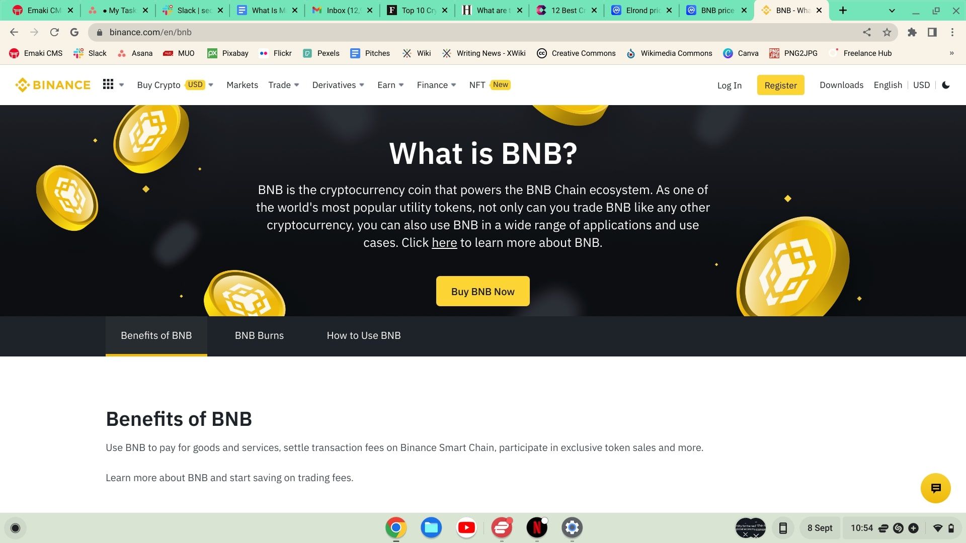 bnb coin webpage screenshot
