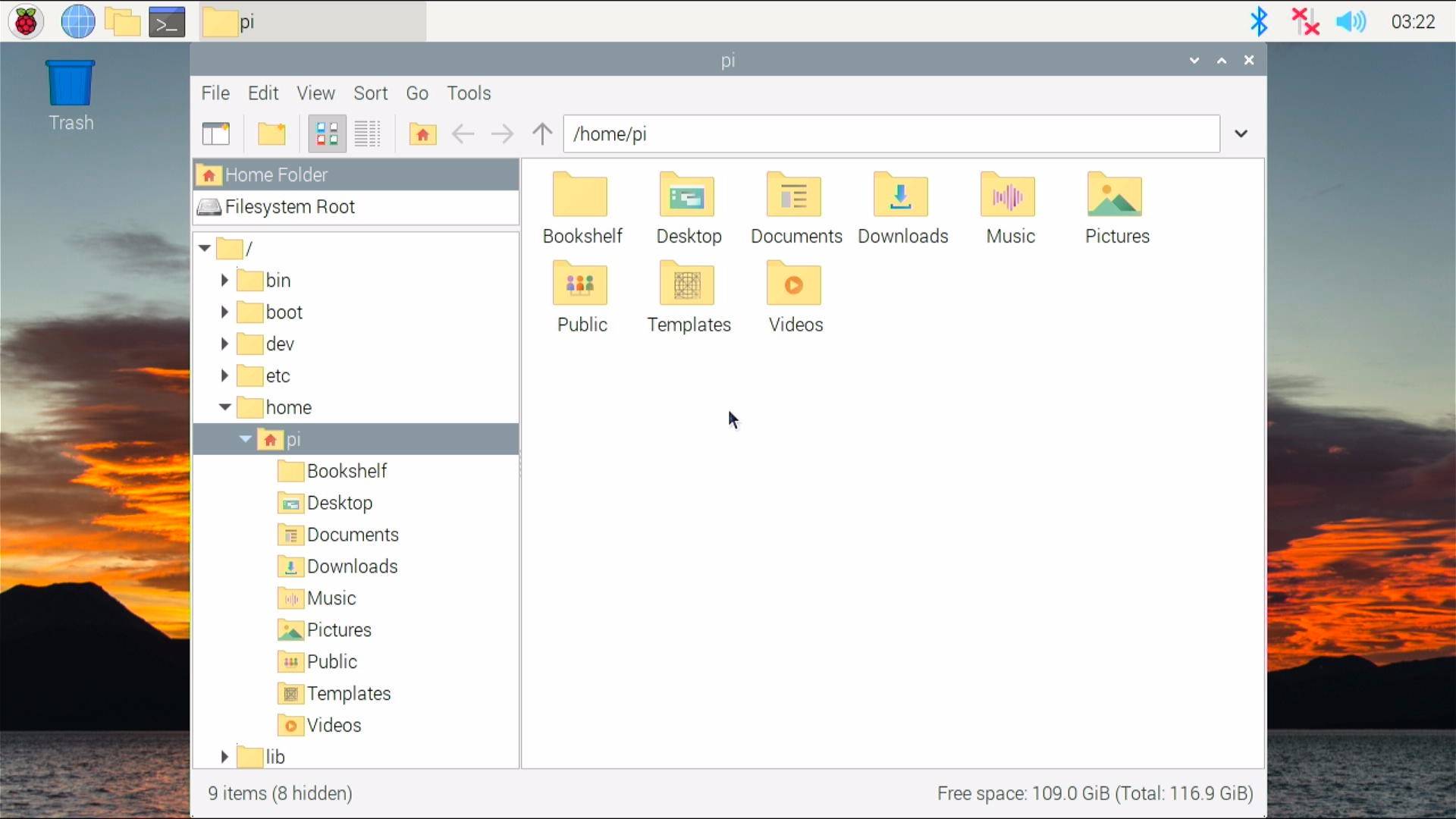 check the available storage in raspberry pi