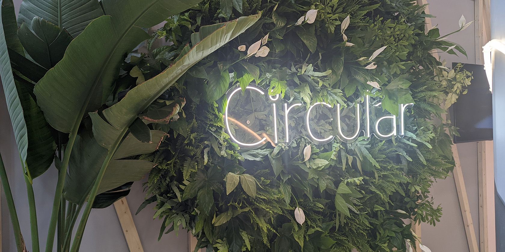 The Circular Logo in a Display of Leaves