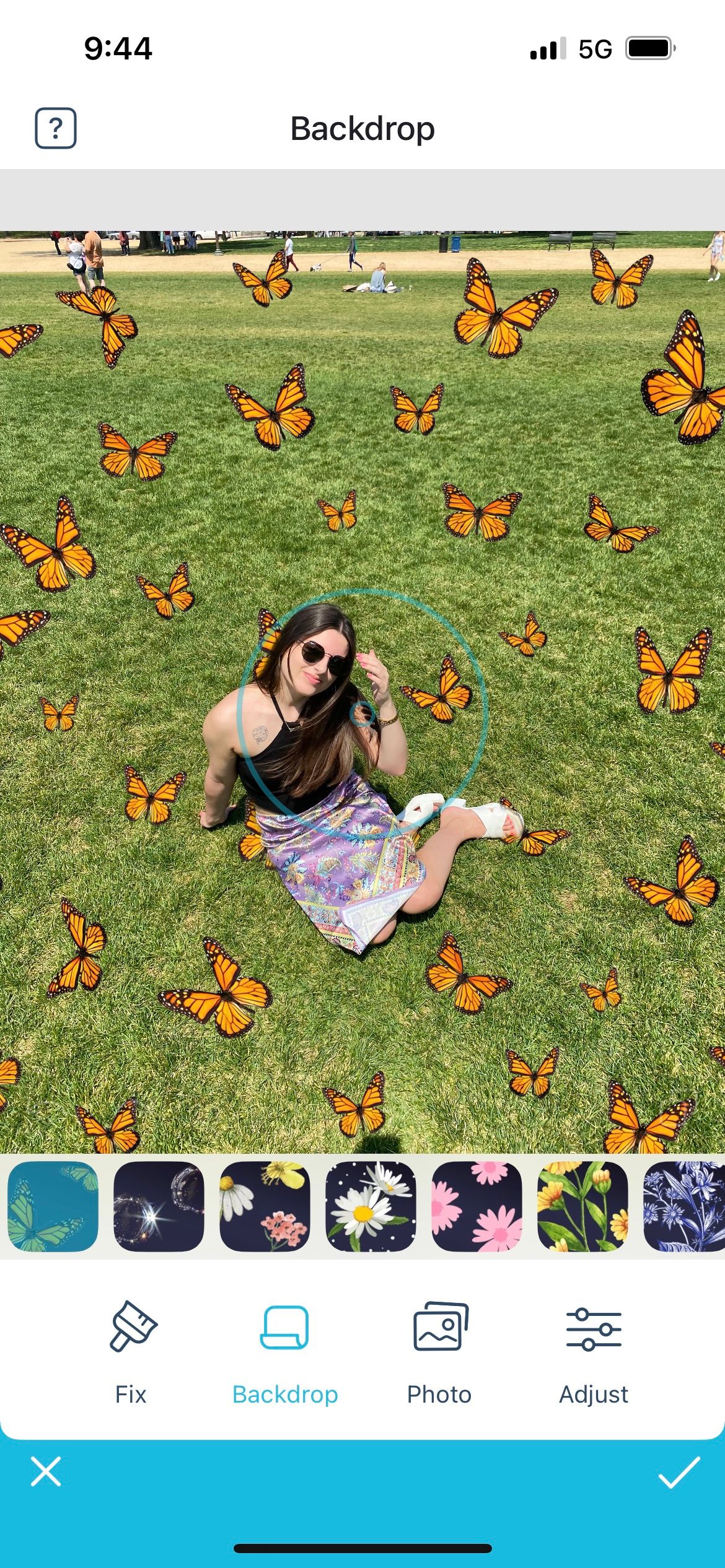 facetune backdrop tool butterflies
