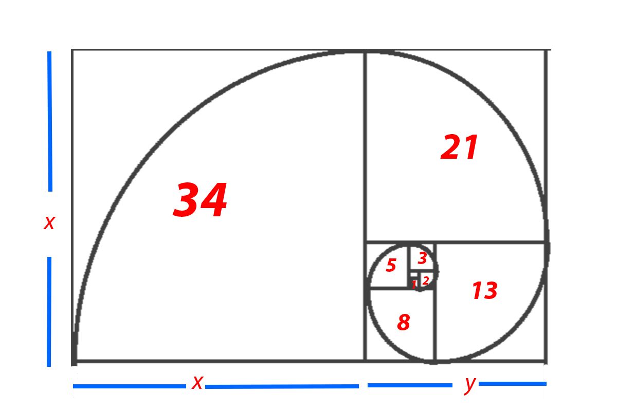 fibonacci spiral with fibonacci sequence numbers
