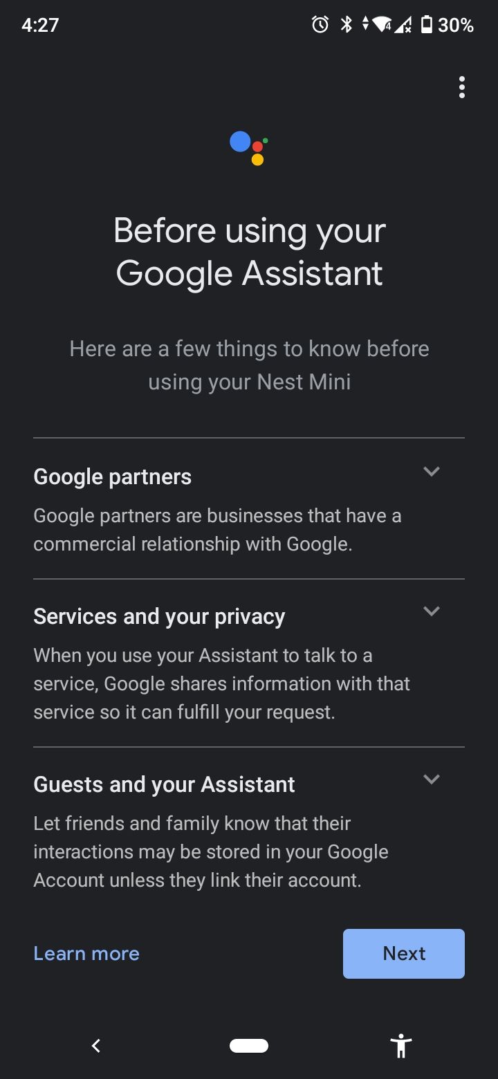 google home app nest mini features