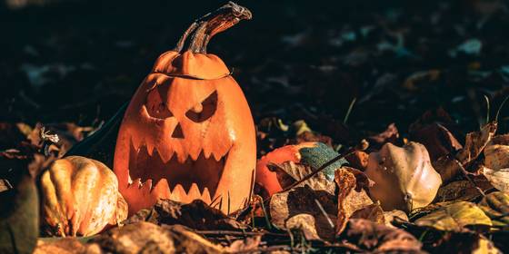 6 Sites to Get You in the Halloween Spirit