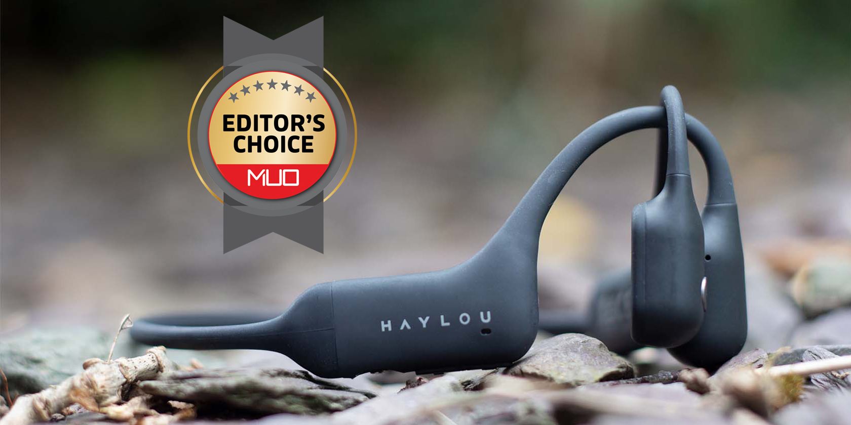 haylou purfree awarded editors choice