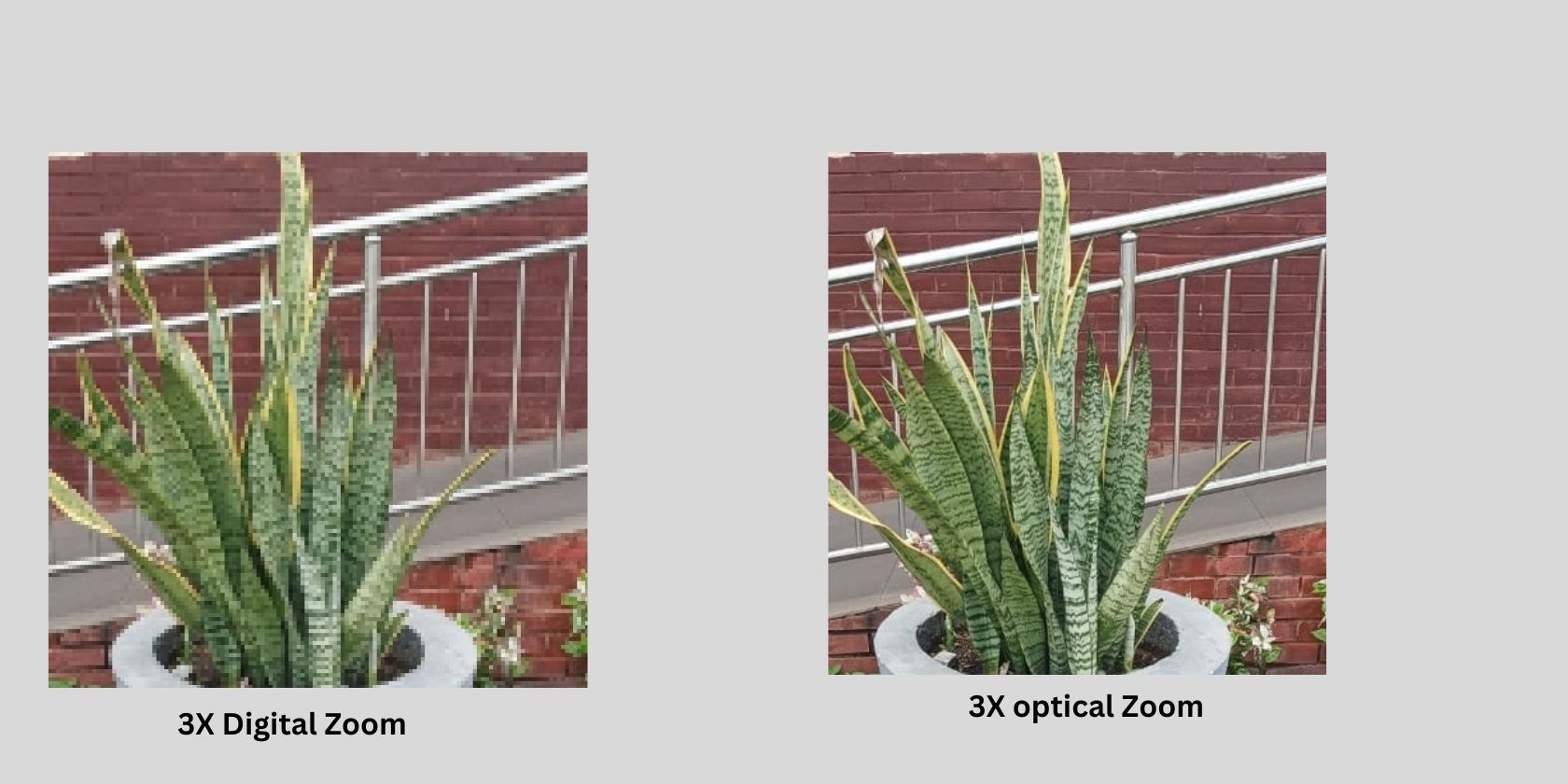 Comparing digital zoom to optical zoom on smartphones