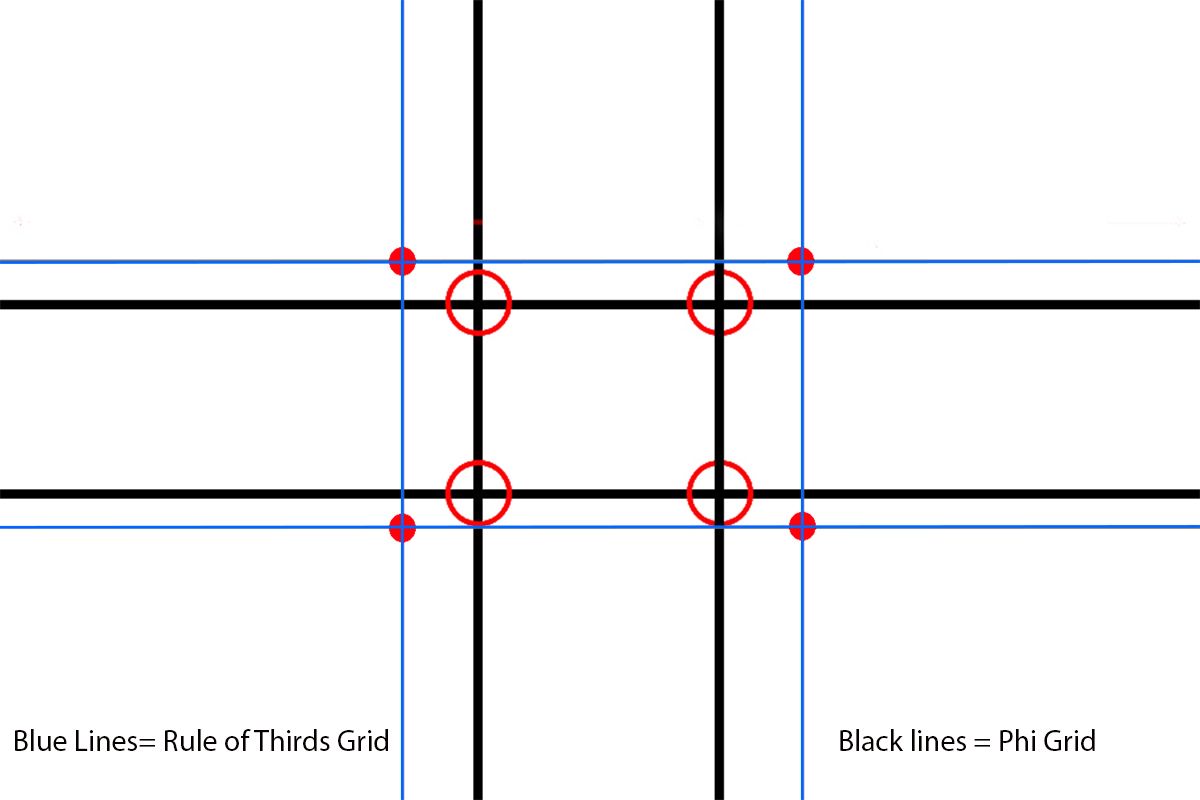 Overlay of phi grid and rule of thirds grid to show position comparison