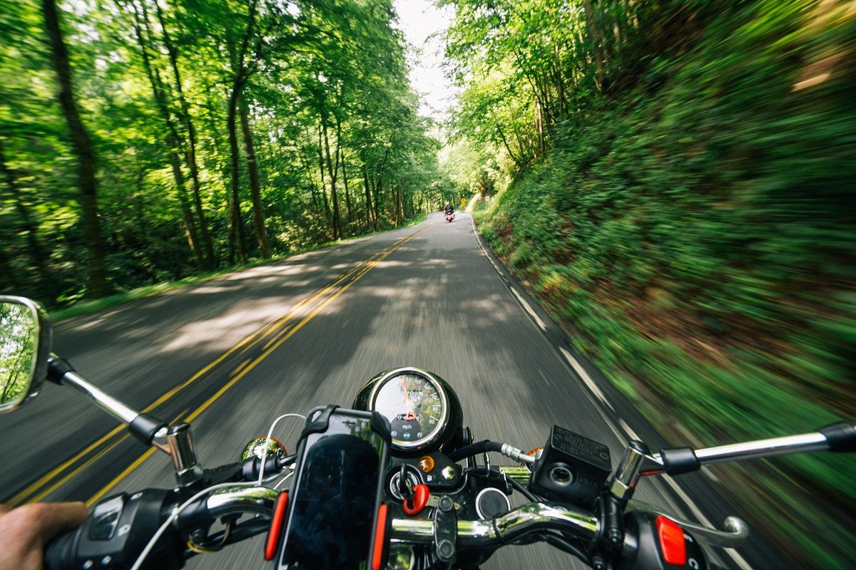 speeding motorbike through forested road