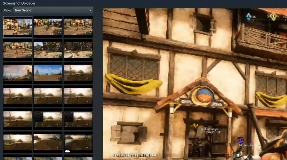 Steam's screenshot gallery