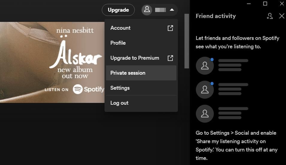 The user button in Spotify