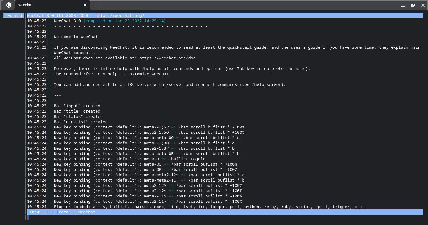 Weechat running in the Linux terminal