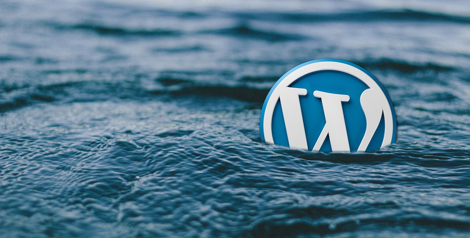 wordpress logo in water