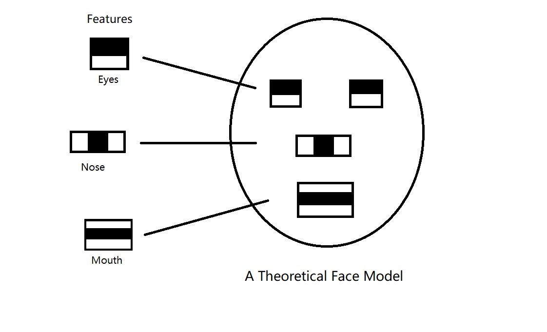 A theoretical face model