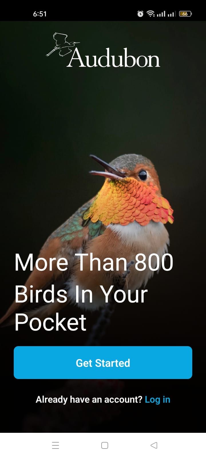 Audubon Bird Guide - Mainpage 